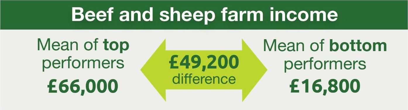 Diagram showing the difference between beef and sheep income of top and bottom performing farms